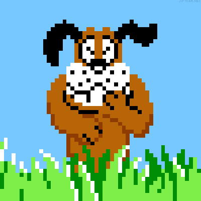 duck-hunt
